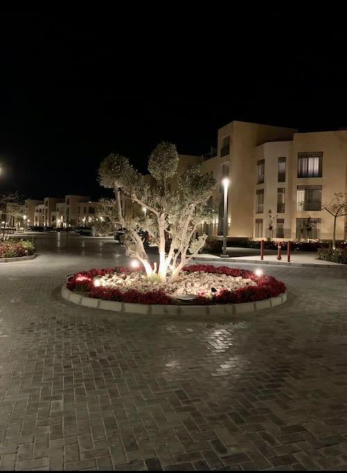 Mangroovy - 2br La Blanca Pool View Hurghada